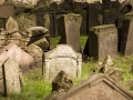 Stary żydowski cmentarz w Pradze