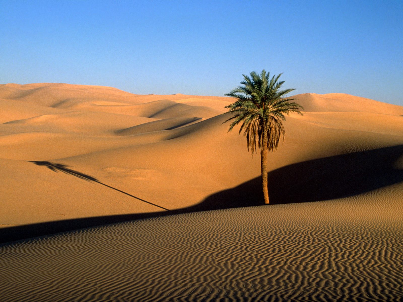 Sahara, Afryka Północna