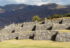 Sacsayhuaman